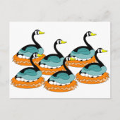6 Gänse Postkarte (Vorderseite)
