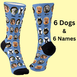 6 Hunde, 6 Namen, Hunde Foto - Personalisiert blau Socken