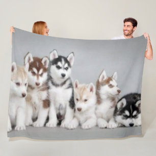 6 HUSKY PUPPIES FLEECEDECKE