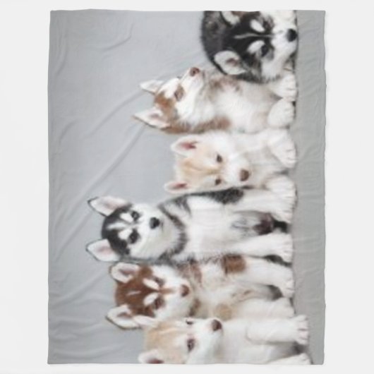 6 HUSKY PUPPIES FLEECEDECKE (Vorderseite)