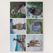 6-in-1 Tiere aus Australien, 1014 Stück Puzzle (Vertikal)