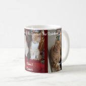 6 Katzen Foto und Name,Aufbewahren,eigene herstell Kaffeetasse (VorderseiteRechts)