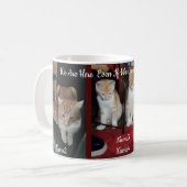 6 Katzen Foto und Name,Aufbewahren,eigene herstell Kaffeetasse (Vorderseite Links)