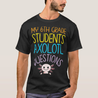 6. Klasse Lehrer Bewertung I Fragen  T-Shirt