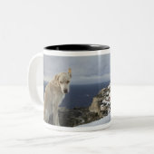 6-Nov Zweifarbige Tasse (Vorderseite Links)