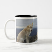 6-Nov Zweifarbige Tasse (Links)