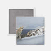 6. November Magnet (Vorderseite/Rückseite)