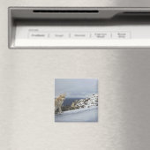 6. November Magnet (In Situ (Geschirrspüler))