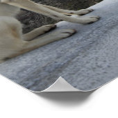 6. November Poster (Ecke)