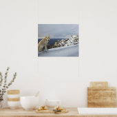 6. November Poster (Küche)