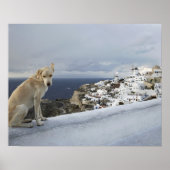 6. November Poster (Vorne)