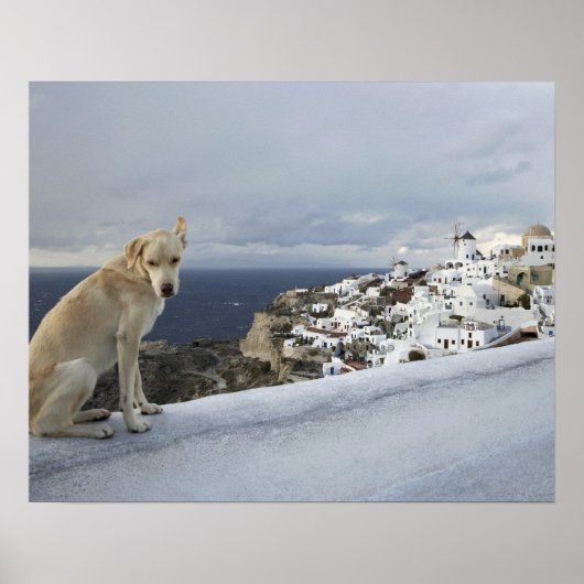 6. November Poster (Vorne)