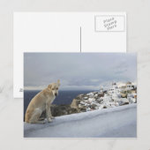 6. November Postkarte (Vorne/Hinten)