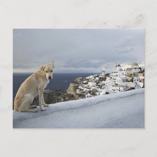 6. November Postkarte (Vorderseite)