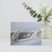 6. November Postkarte (Stehend Vorderseite)