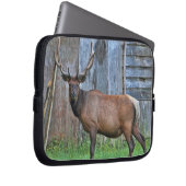 6 Punkt-Stier-Elch-Foto Laptopschutzhülle (Vorne Rechts)