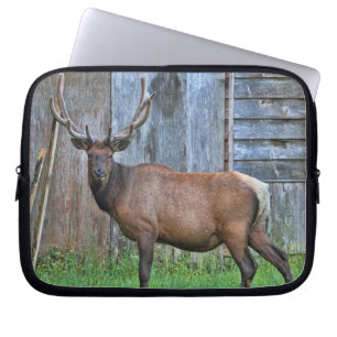 6 Punkt-Stier-Elch-Foto Laptopschutzhülle