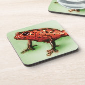 6 Red Frog Untersetzer Set, Wildtierskizze (Linke Seite)