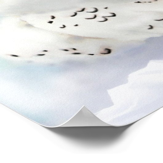 6 Ruder Poster (Ecke)