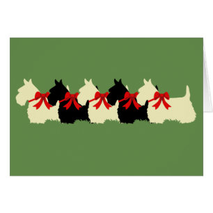 6 Scottish Terrier Black/Wheaten, Bogen/Leere