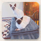 6 Siamische Hartkunststoffe, Untersetzer mit Korkr (Vorderseite)