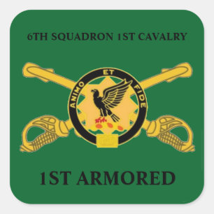 6. SQUADRON 1. CAVALRY 1. ARMORED STICKERS