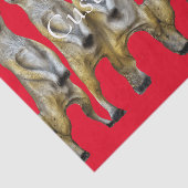 6 Stehend Meerkats Thunder_Cove Seidenpapier (Ausschnitt)