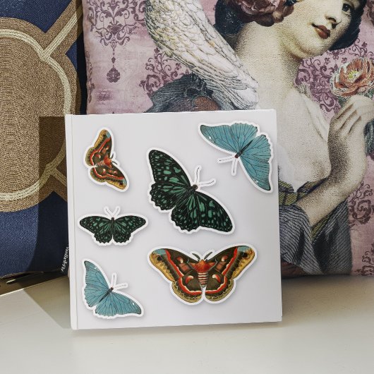 6 Stk. Vintager, farbiger Schmetterling hübsche Ko Aufkleber