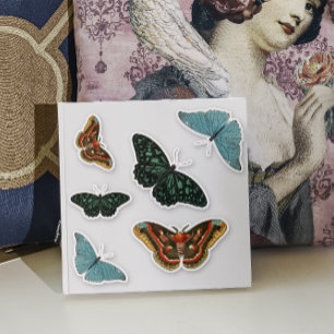6 Stücke Vintage bunte Schmetterlinge schöne Kontu Aufkleber