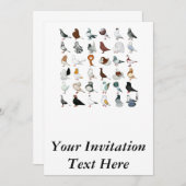 6 Tauben-Zucht Einladung (Vorne/Hinten)