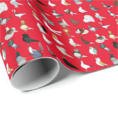 6 Tauben-Zucht Geschenkpapier (Rolleneckpunkt)