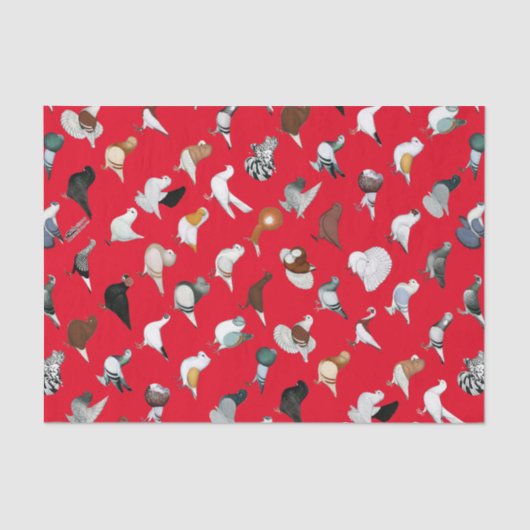 6 Tauben-Zucht Seidenpapier (Vorderseite)