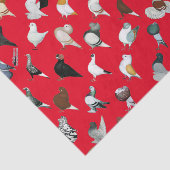 6 Tauben-Zucht Seidenpapier (Ausschnitt)