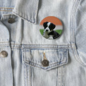 6 Wochen-alte Border-Collie Button (Beispiel)