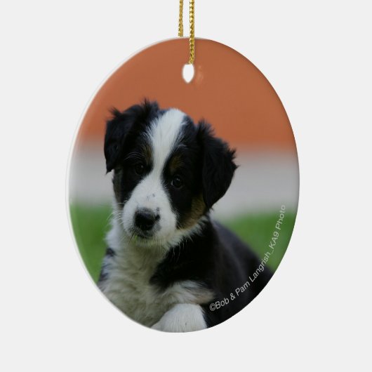 6 Wochen-alte Border-Collie Keramikornament (Rechts)