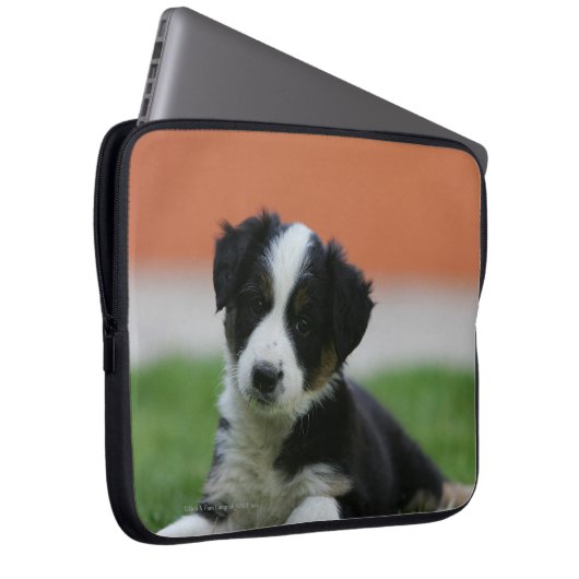 6 Wochen-alte Border-Collie Laptopschutzhülle (Vorne Rechts)