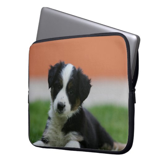 6 Wochen-alte Border-Collie Laptopschutzhülle (Vorderseite Links)