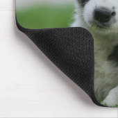 6 Wochen-alte Border-Collie Mousepad (Ecke)