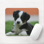 6 Wochen-alte Border-Collie Mousepad (Mit Mouse)