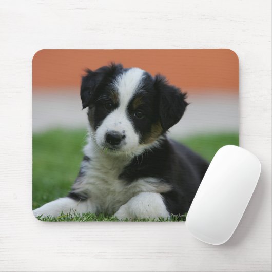6 Wochen-alte Border-Collie Mousepad (Mit Mouse)