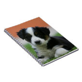 6 Wochen-alte Border-Collie Notizblock (Rechte Seite)