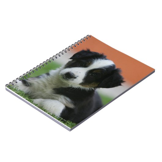 6 Wochen-alte Border-Collie Notizblock (Linke Seite)