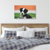 6 Wochen alter Grenzübergang Collie Leinwanddruck (Insitu (Schlafzimmer))