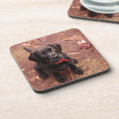 6 Wochen-alter schwarzer Labrador Untersetzer (Linke Seite)