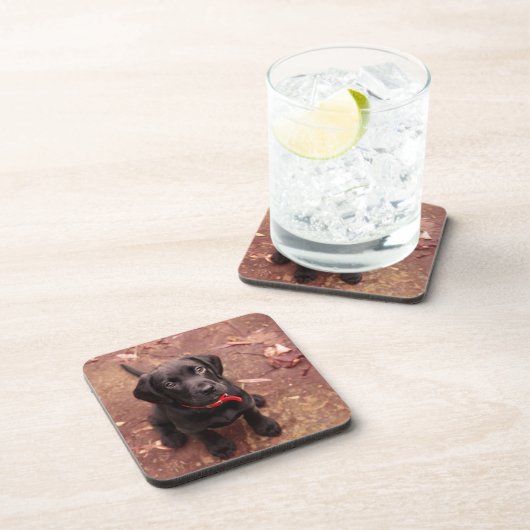 6 Wochen-alter schwarzer Labrador Untersetzer (Rechte Seite)