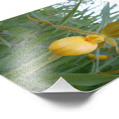 6 x 4 Foto drucken (Ecke)