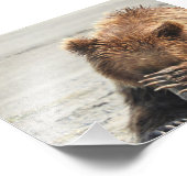 6 x 4 Foto Grizzlybär (Ecke)