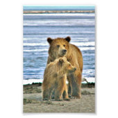 6 x 4 Foto Grizzlybär (Vorne)