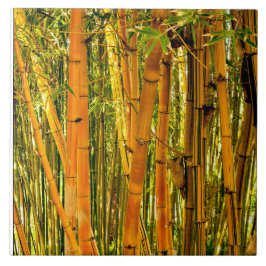 6 x 6 Bambus-Keramik-Kunst-Fliese Fliese