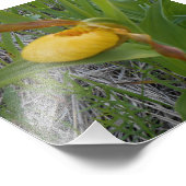 6 x 6 Foto drucken (Ecke)